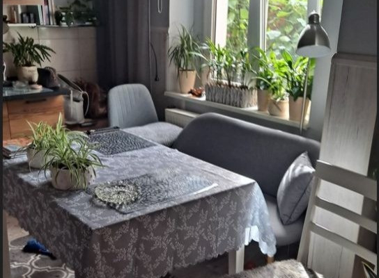 Dom /połowa  z ogrodem, garażem, piwnicą