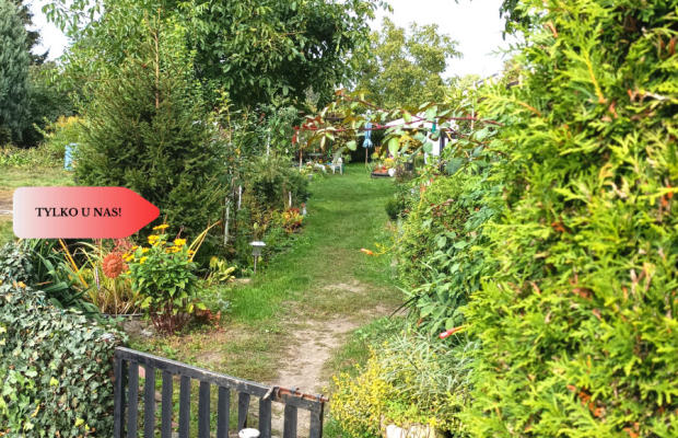 Atrakcyjna loklizacja dobra cena !