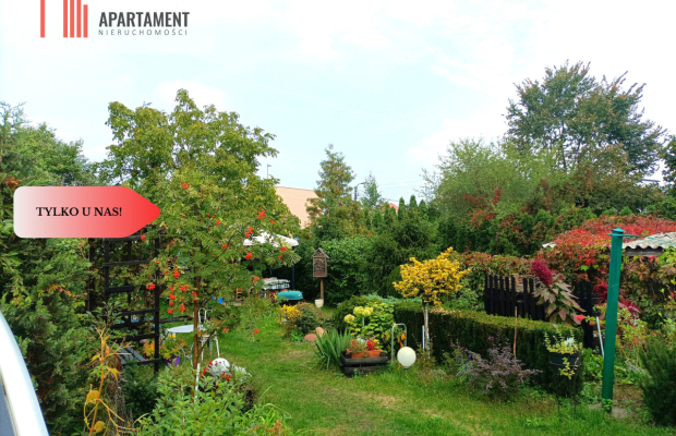 Atrakcyjna loklizacja dobra cena !