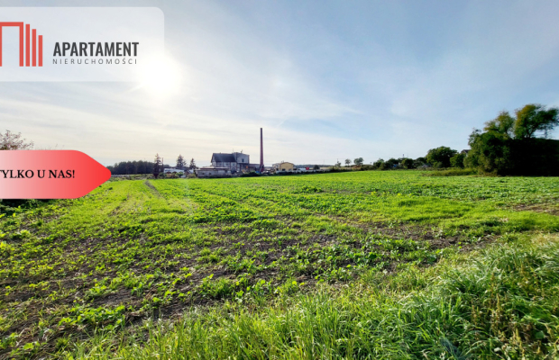 Siedlisko z potencjalem + działka budowlana