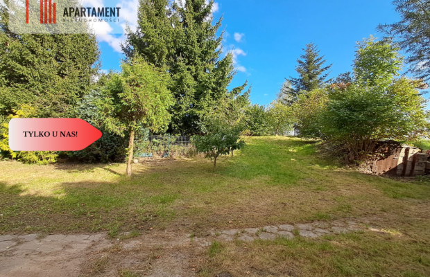 Dom bliźniak z dużą działką*Lichnowy*Malbork-Tczew