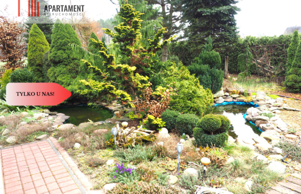 2 Domy Ranczo przy drodze krajowej. Podział