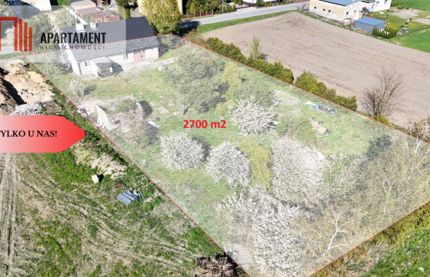 * Dom z potencjałem na obrzeżach Żnina-Januszkowo