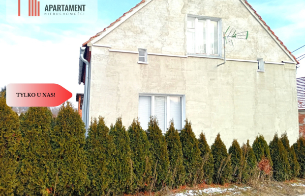 Dom do remontu na dużej działce!