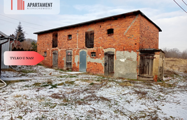 Dom do remontu na dużej działce!