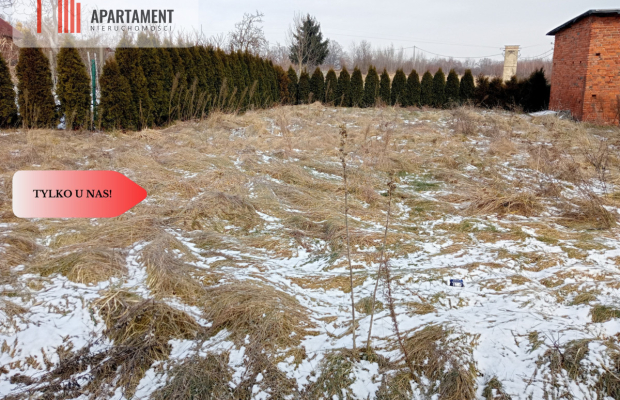 Dom do remontu na dużej działce!