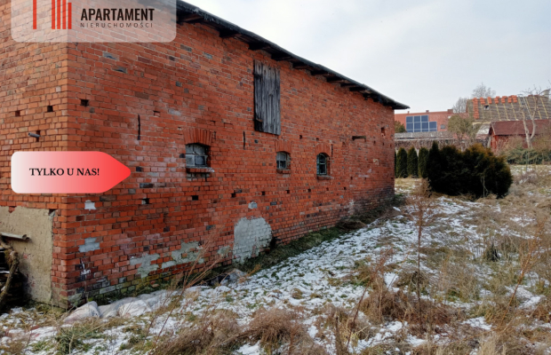 Dom do remontu na dużej działce!