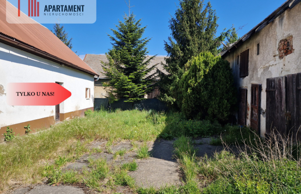 Dom na działce 3500m2 ze stodołą i budynkiem gosp.