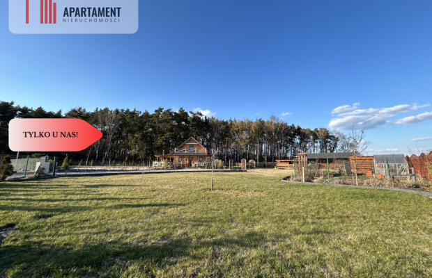 Dom ze ścianą lasu - gotowy do wprowadzenia