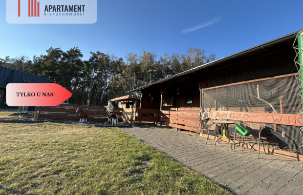 Dom ze ścianą lasu - gotowy do wprowadzenia