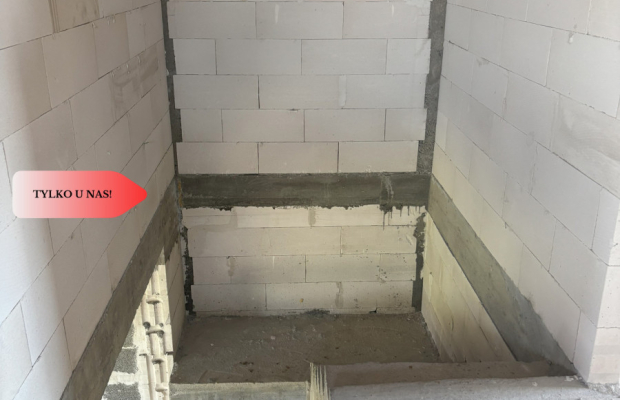 Pół bliźniaka z ogromnym potencjałem