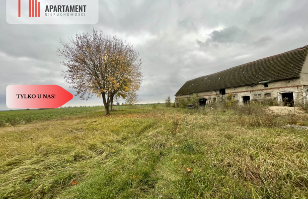 Klimatyczny dom z czerwonej cegły na wsi