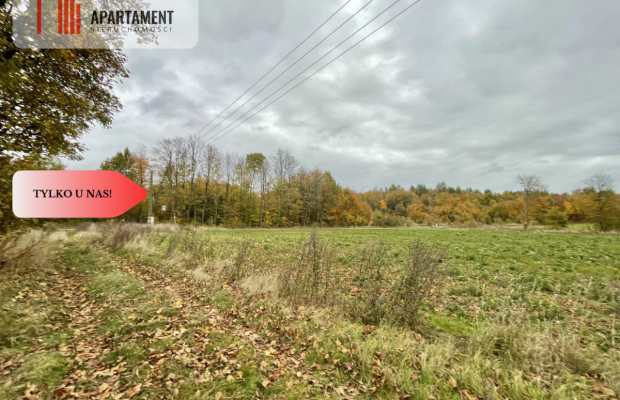 Klimatyczny dom z czerwonej cegły na wsi