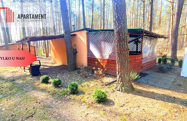 Jeszcze niższa cena!Domek w lesie blisko jeziora!