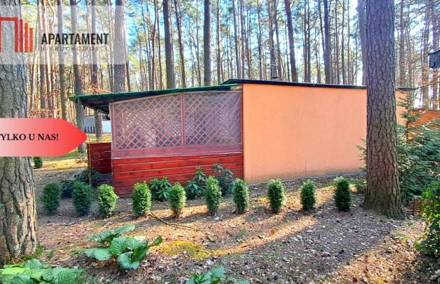 Jeszcze niższa cena!Domek w lesie blisko jeziora!