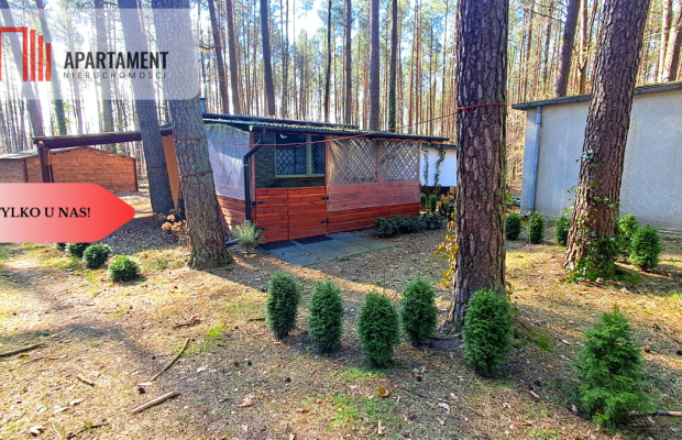 Jeszcze niższa cena!Domek w lesie blisko jeziora!