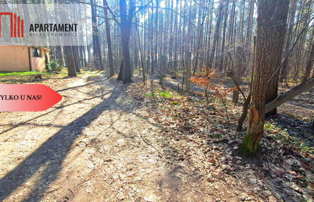 Jeszcze niższa cena!Domek w lesie blisko jeziora!