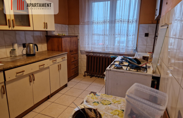 Dom wolnostojący przy lesie