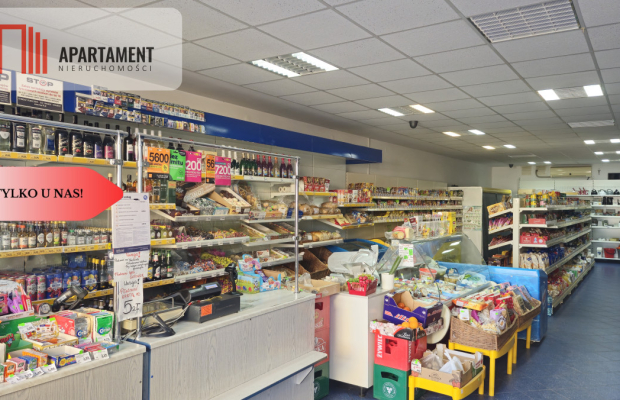 Okazja dom Brodnica - okolice