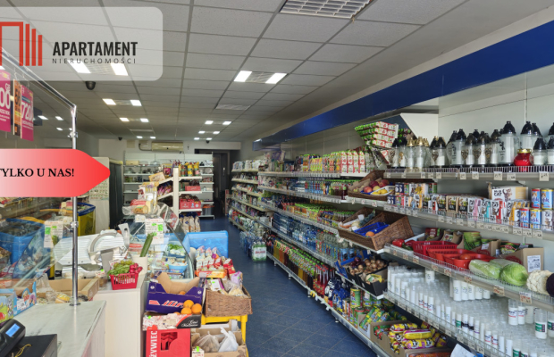 Okazja dom Brodnica - okolice