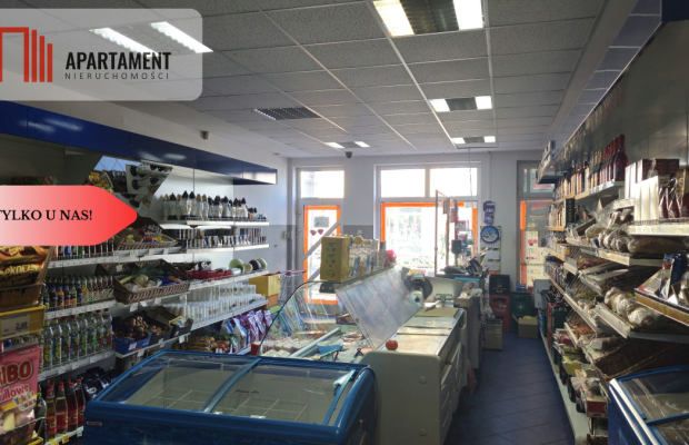 Okazja dom Brodnica - okolice