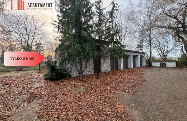 Dom z potencjałem na dużej działce!