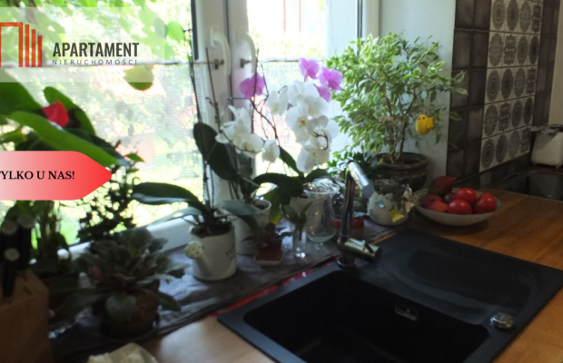 Przestronny dom wolnostojący na działce 4900 m2!