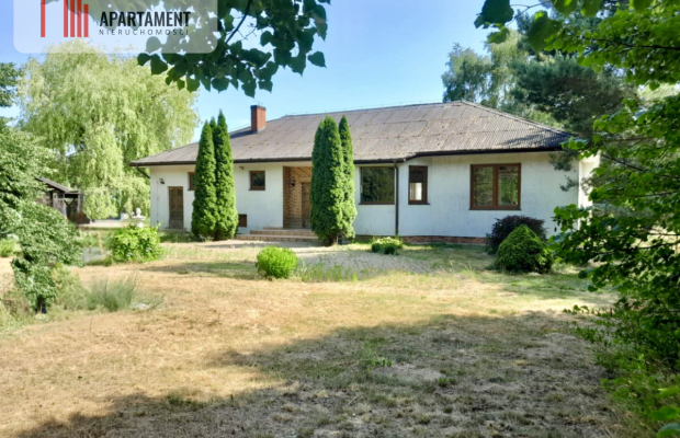 Dom w otoczeniu lasu z dużą działką