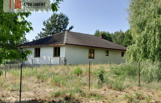 Dom w otoczeniu lasu z dużą działką