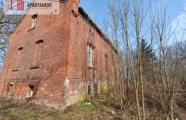 Zabytkowy Dom z Potencjałem Gnojewo