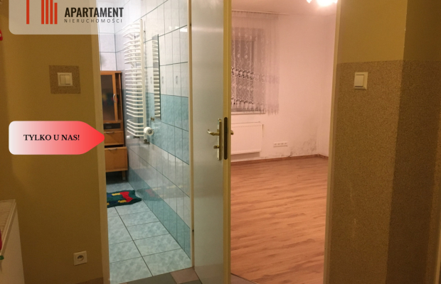 Dom z dużą działką blisko lasu