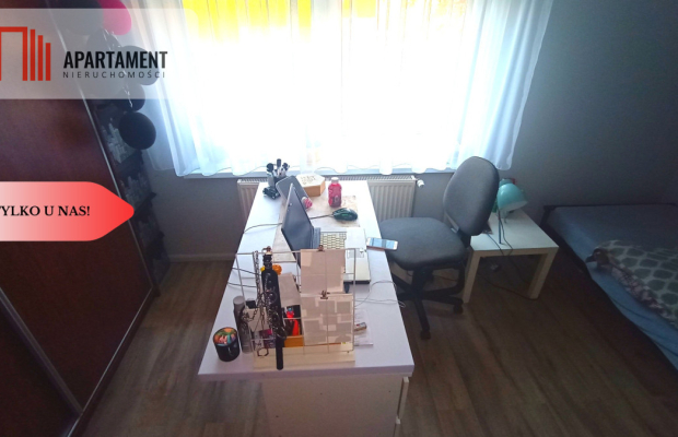 DOM 85 M2/620 M2 LASY,JEZIORA  WIĘCBORK-okolica!