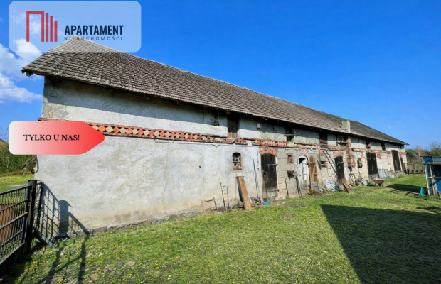 Siedlisko w sąsiedztwie jeziora i lasu