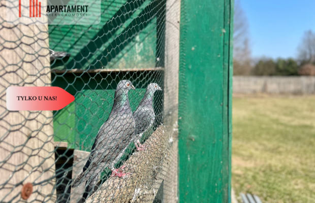 Siedlisko w sąsiedztwie jeziora i lasu