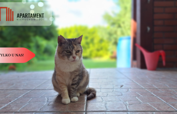 Wyjątkowy dom w Myślęcinku z domkiem dla gości