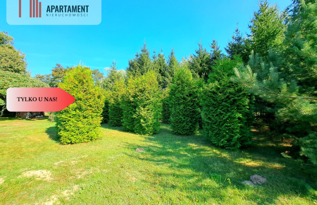 Magiczne siedlisko w Borach Tucholskich!