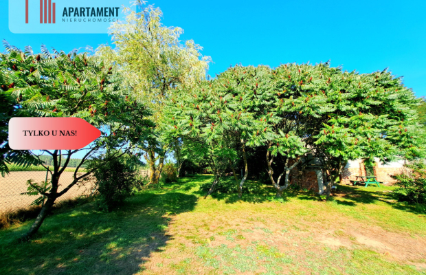 Magiczne siedlisko w Borach Tucholskich!