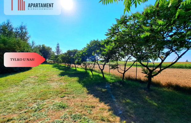 Magiczne siedlisko w Borach Tucholskich!