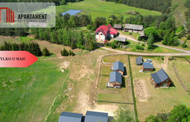 TYLKO U NAS!!! DOMEK OTOCZONY BORAMI TUCHOLSKIMI