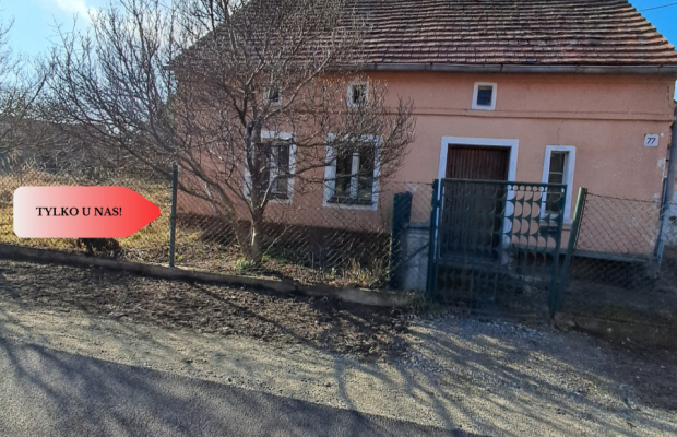 Dom na wsi do własnej aranżacji na dużej działce.