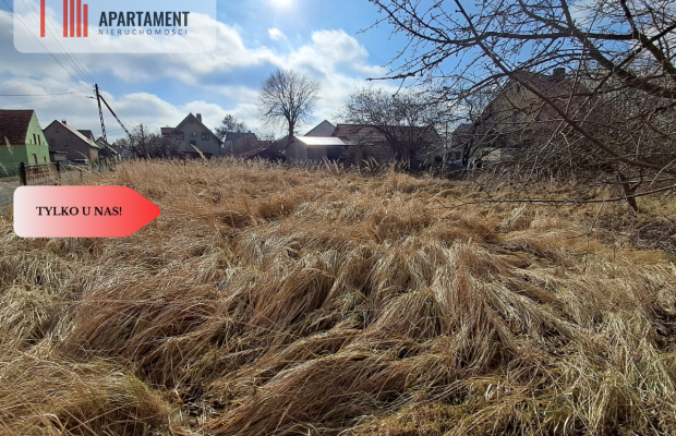 Dom na wsi do własnej aranżacji na dużej działce.