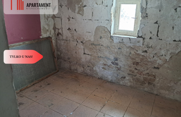 Dom na wsi do własnej aranżacji na dużej działce.