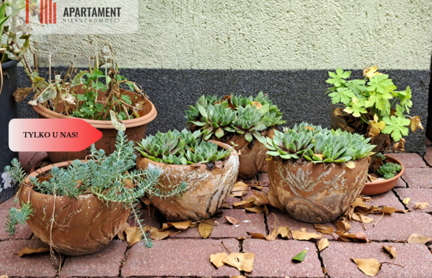 Piaski / dom z patio / 5 sypialni