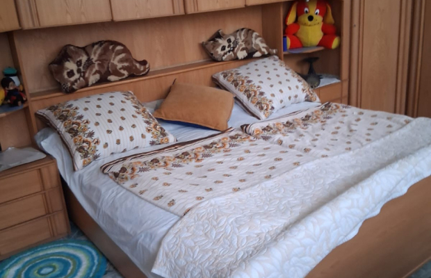 STEGNA: Obiekt Inwestycyjny 285m²