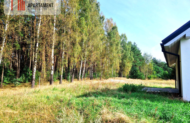 Dom jednorodzinny pod lasem.