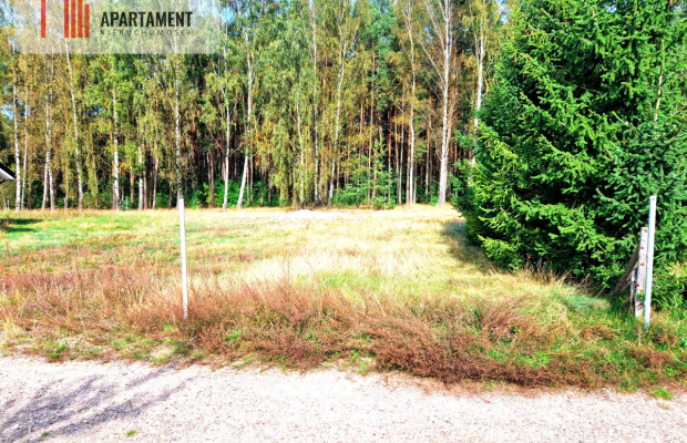 Dom jednorodzinny pod lasem.