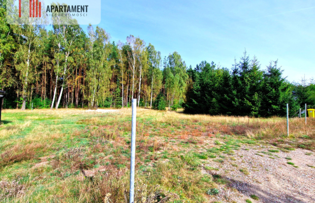 Dom jednorodzinny pod lasem.