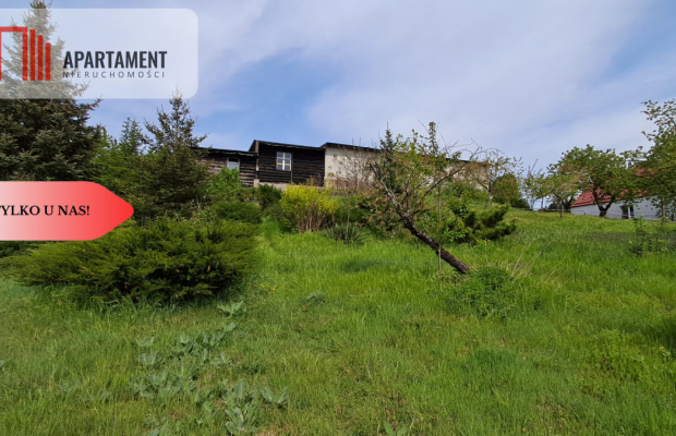 Dom z działką nad Notecią – dla miłośników natury