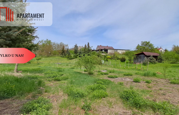 Dom z działką nad Notecią – dla miłośników natury