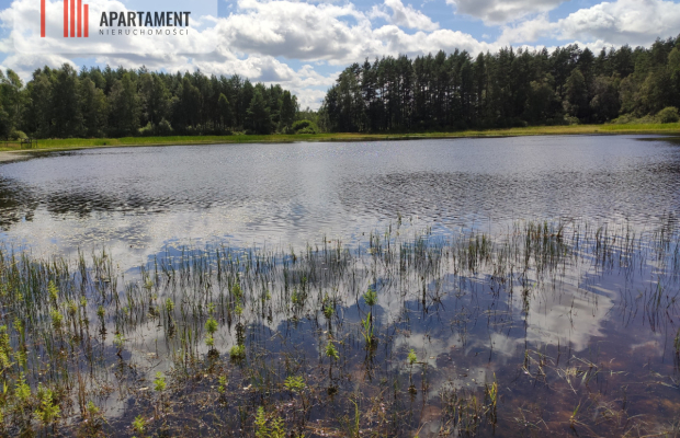 Dom z jeziorem w cichej i spokojnej okolicy!